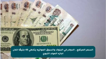 السعر المرتفع.. الدولار في البنوك والسوق الموازية يتخطى 48 جنيهًا خلال إجازة المولد النبوي